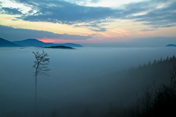 Fototapeta na wymiar the fog in the mountains