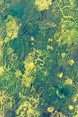 Abstract watercolor background with floristic patterns