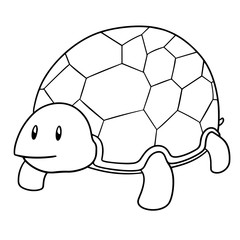 Fototapeta premium vector of turtle