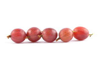 Stachelbeeren  auf weiss