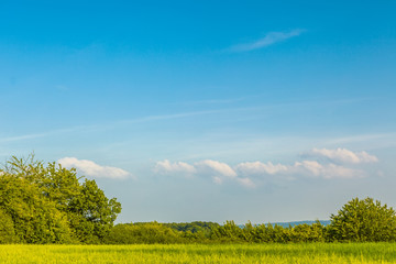 Grünes, flaches Feld mit Himmel im Sommer