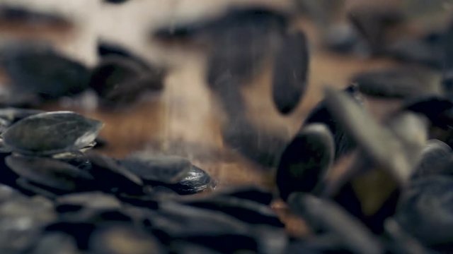 Pumpkin Seeds authentic Slow-Motion falling on wooden table, close up