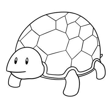 vector of turtle