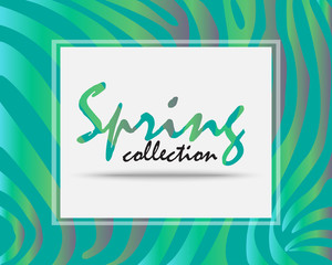 New Spring collection.New Arrivals of spring season