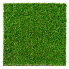 Green grass mat isolated on white background.