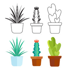 Popular succulents line and cartoon set - home cactus icons