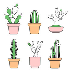 Vector hand drawn outline cactus with color elements