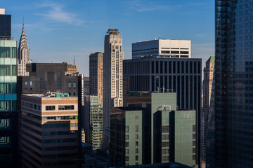 Fototapeta premium NY1