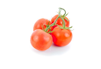 Closeup of tomatoes on the vine isolated on white