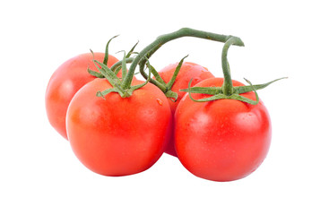 Closeup of tomatoes on the vine isolated on white