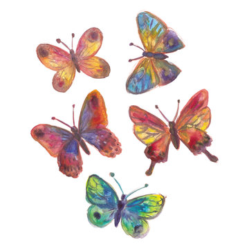 Watercolor painted butterflies collection
