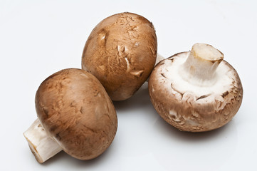 braune Champignons 