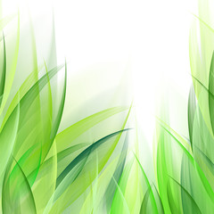 Delicate abstract grass leaves background. Suitable for nature concept, vacation, and summer holiday.