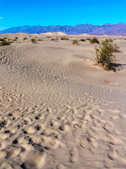 Mesquite Flat Sand Dunes at Death Valley National park in USA Nevada