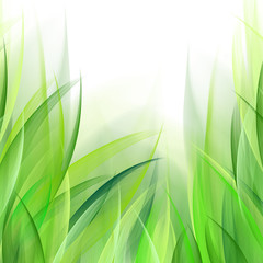 Fototapeta na wymiar Delicate abstract grass leaves background. Suitable for nature concept, vacation, and summer holiday.