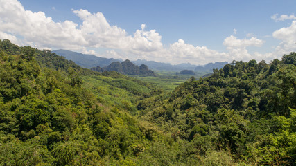 Fototapeta premium Aerial view of tropical green rain forest landscape in Thailand during sunny summer day
