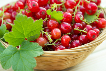 Red Fresh Currant In Little Basket