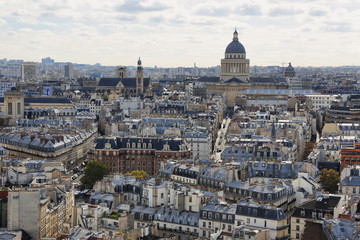 Fototapeta na wymiar Paris seen from the top of Notre Dame