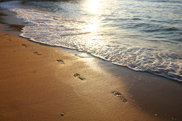 Footprints on the sand along the beach and seaside