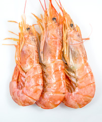 Fresh prawn or fresh shrimp isolated on white background, Food background.