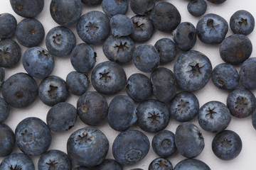 blueberry closeup