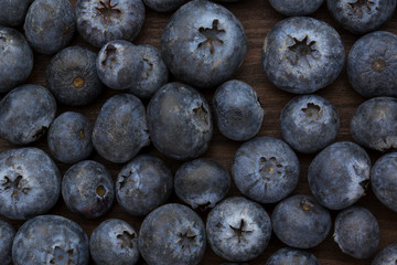 blueberry closeup