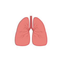 Lungs icon, flat style. Internal organs of the human design element, logo. Anatomy, medicine concept. Healthcare. Isolated on white background