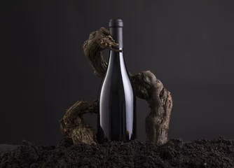Rolgordijnen Wine Bottle With Vine to embrace the Bottle, From Hearth and Black Background © volupio