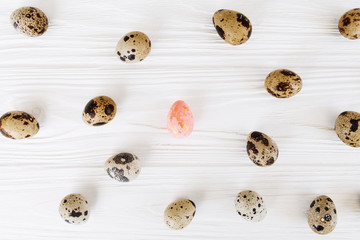 Easter quail eggs and feathers on white background. Flat lay, top view