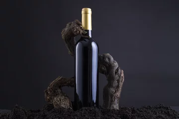 Foto auf Alu-Dibond Weinflasche mit Weinrebe, um die Flasche zu umarmen, von Herd und schwarzem Hintergrund © volupio