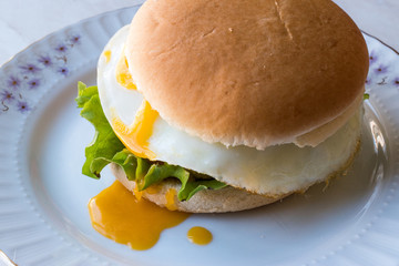 Homemade Double Hamburger with Egg, Lettuce and Tomatoes.