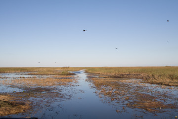 Swamp Waterway with Birds and Sky - 196376088
