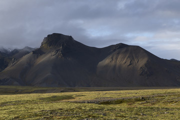 Island südliche Küste, vulkanische schroffe Berge im Gegensatz zu den grünen Wiesen