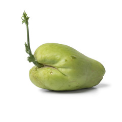  Sprouting green chayote