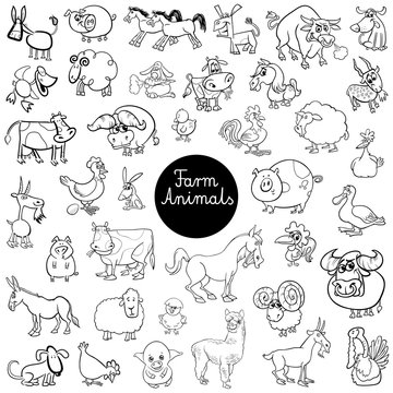 funny farm animal characters set color book