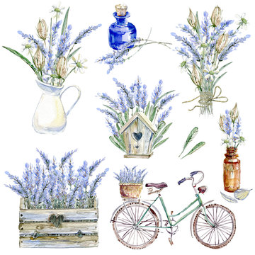 Set of hand drawn watercolor clipart. Provence atmosphere, laven