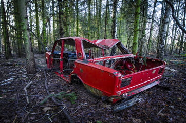 Rotes Auto im Wald