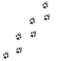 Vector illustration. Fox Paw Prints Track Logo. Black on White background. Animal paw print with claws. © OnD