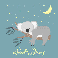 Cute sleeping koala on the tree. Sweet dreams vector illustration.