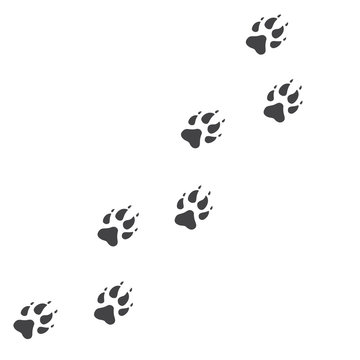Vector illustration. Wolf Paw Prints Track Logo. Black on White background. Animal paw print with claws.