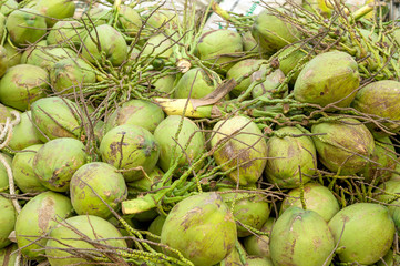 closeup coconuts for sale. top view