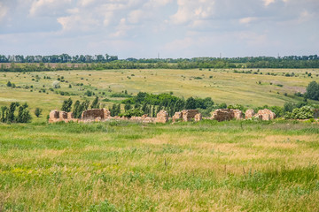 Fototapeta na wymiar Tavriysky blooming steppe in summer