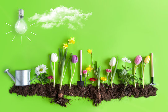 Spring background