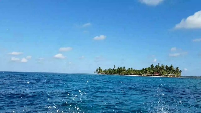 Structure of the most important island in San Blas, Panama. 