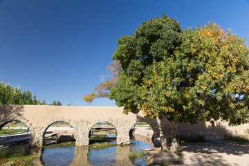 Fototapeta premium Cheshmeh Ali Pavilion, Damghan, Iran