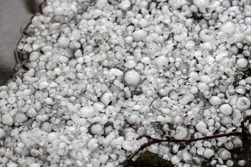 hailstones on the ground after hailstorm, hail of great size, hail sized with a larger coin
