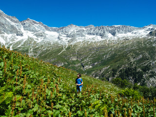 child during a mountain hike in the summer in the Alps, Monte Rosa