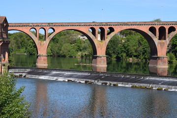 Fototapeta premium Pont Neuf d'Albi (81)