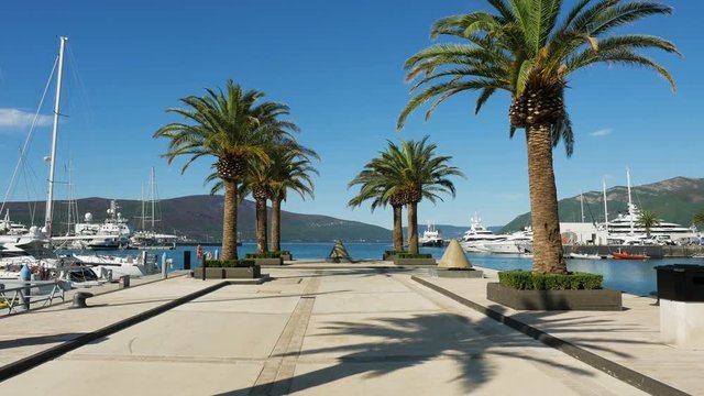 view of the alley with palm trees and a fountain in the port of Tivat