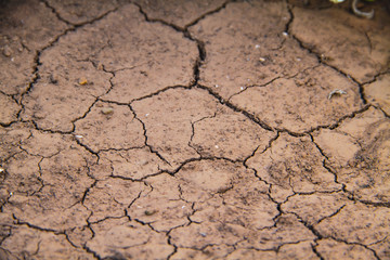 Trockene Erde